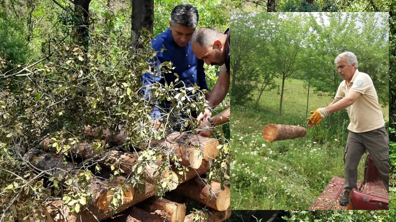 Osmaniye Karatepe Aslantaş Milli Parkı’nda Tuzak Kuruldu! 